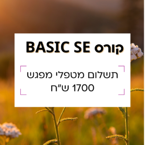 קורס SE למטפלי מפגש
